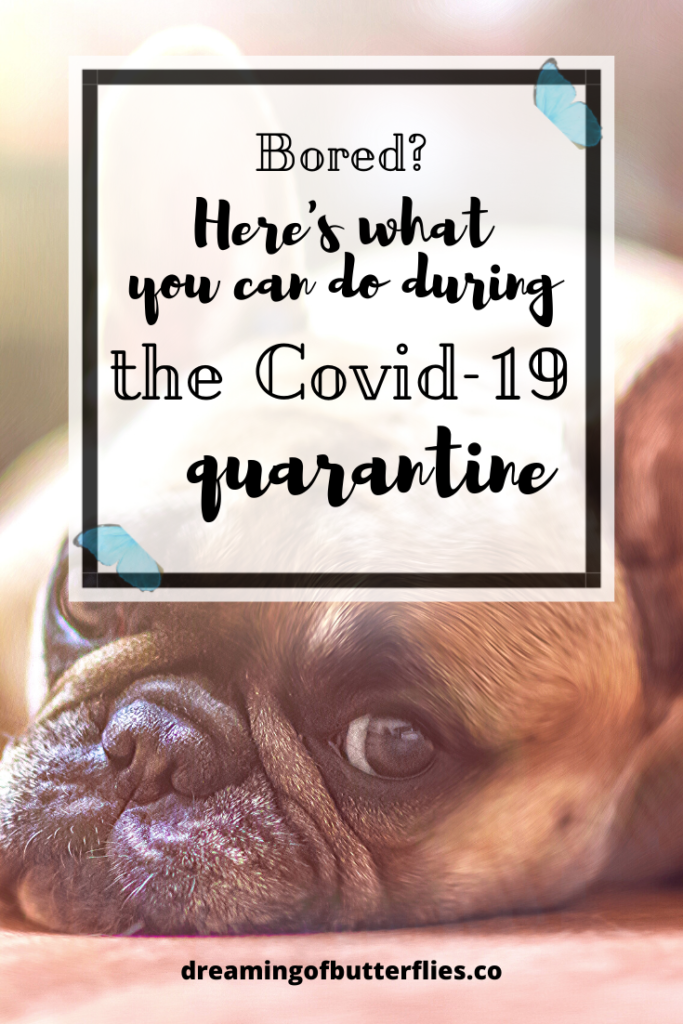 Are you bored of staying inside during the Covid-19 quarantine? Here's what you can do!